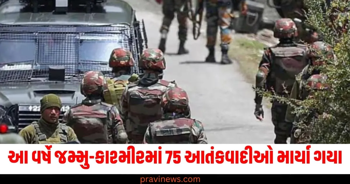 આ વર્ષે જમ્મુ-કાશ્મીરમાં 75 આતંકવાદીઓ માર્યા ગયા, જેમાં મોટા ભાગના પાકિસ્તાની હતા https://www.pravinews.com/travel-news/nainital-tourists-started-reaching-the-mountains-to-welcome-the-new-year-79369