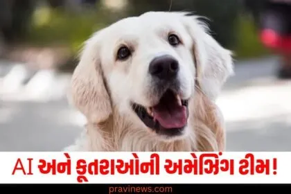 AI (Artificial Intelligence), કૂતરાઓ (Dogs), અમેઝિંગ ટીમ (Amazing team), ખતરનાક કેન્સર (Dangerous cancers), સૂંઘીને ઓળખી શકશો (Can detect by smell),