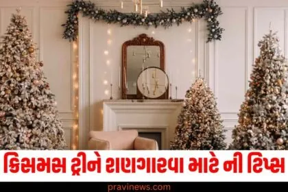 ક્રિસમસ ટ્રી શણગાર ટિપ્સ, Best tips for decorating Christmas tree, ક્રિસમસ ટ્રી ડેકોરેશન, Christmas tree decoration ideas,