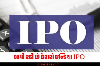 Carraro India Limited IPO, Carraro India IPO launch, Carraro India IPO details, Auto parts company IPO, Carraro IPO ₹1,250 Cr,