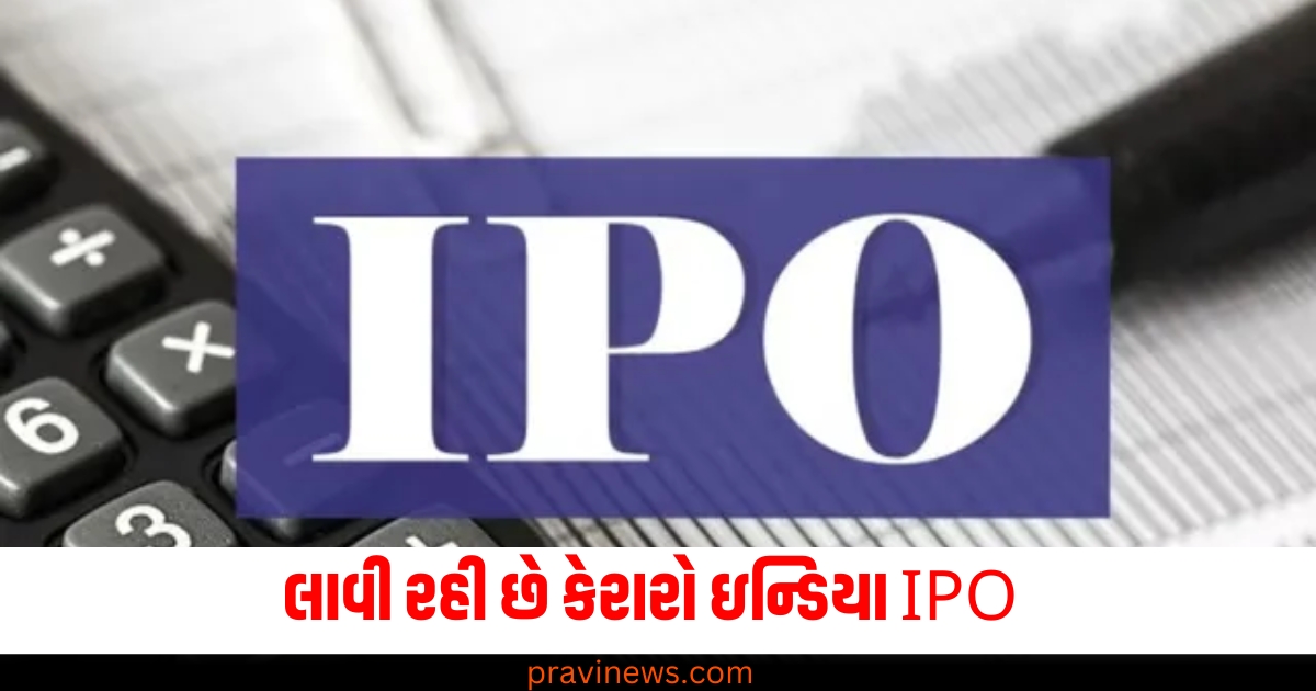 Carraro India Limited IPO, Carraro India IPO launch, Carraro India IPO details, Auto parts company IPO, Carraro IPO ₹1,250 Cr,