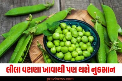 લીલા વટાણા ખાવાથી પણ થશે નુકસાન, જાણો કોણે ન ખાવા જોઈએ https://www.pravinews.com/tag/%e0%aa%b2%e0%ab%80%e0%aa%b2%e0%aa%be