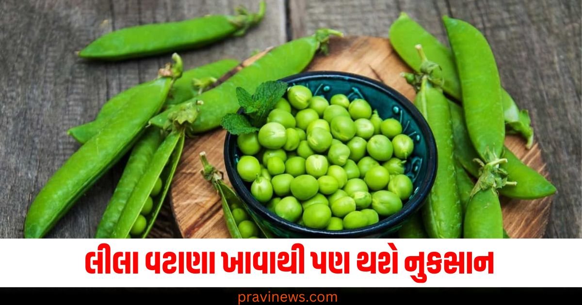 લીલા વટાણા ખાવાથી પણ થશે નુકસાન, જાણો કોણે ન ખાવા જોઈએ https://www.pravinews.com/international-news/marburg-disease-symptoms-bleeding-eye-virus-treatment-rawanda-62853