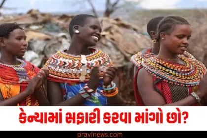 કેન્યામાં સફારી કરવા માંગો છો? તો IRCTC લાવ્યું ટૂર પેકેજ, આટલું છે ભાડું https://www.pravinews.com/photos/page/2