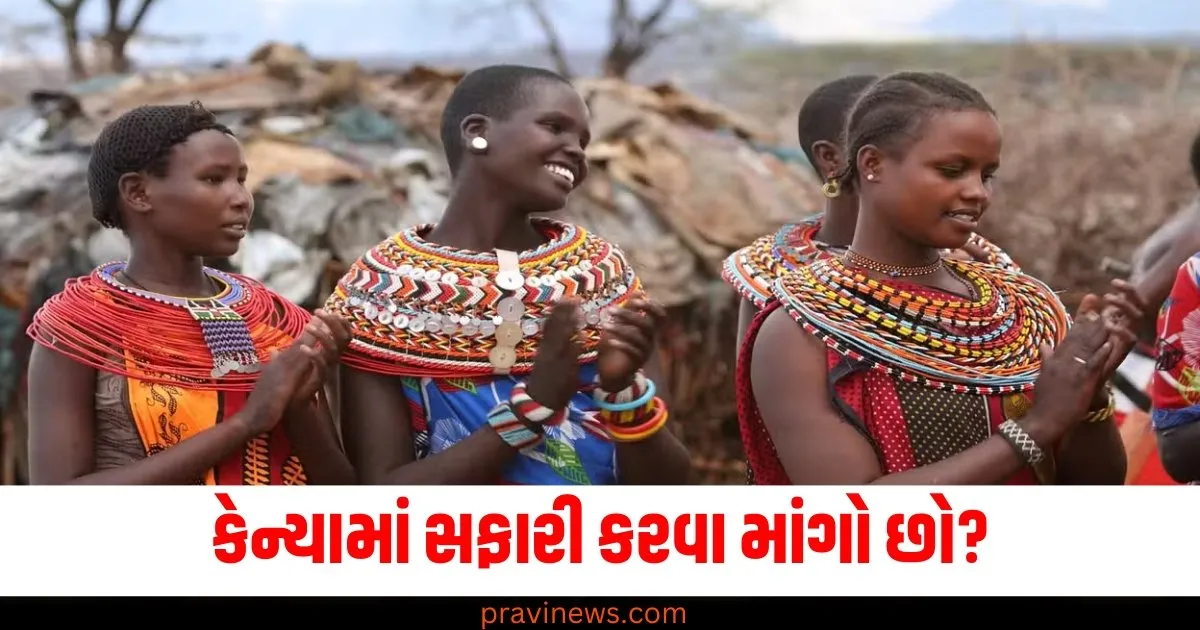 કેન્યામાં સફારી કરવા માંગો છો? તો IRCTC લાવ્યું ટૂર પેકેજ, આટલું છે ભાડું https://www.pravinews.com/ajab-gajab/page/2