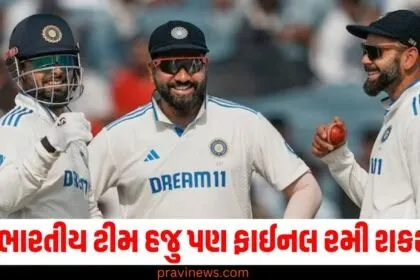 ગાબા ટેસ્ટ ડ્રો પછી પોઈન્ટ ટેબલમાં કેટલો ફેરફાર થયો? શું ભારતીય ટીમ હજુ પણ ફાઈનલ રમી શકશે? https://www.pravinews.com/tag/%e0%aa%97%e0%aa%be%e0%aa%ac%e0%aa%be