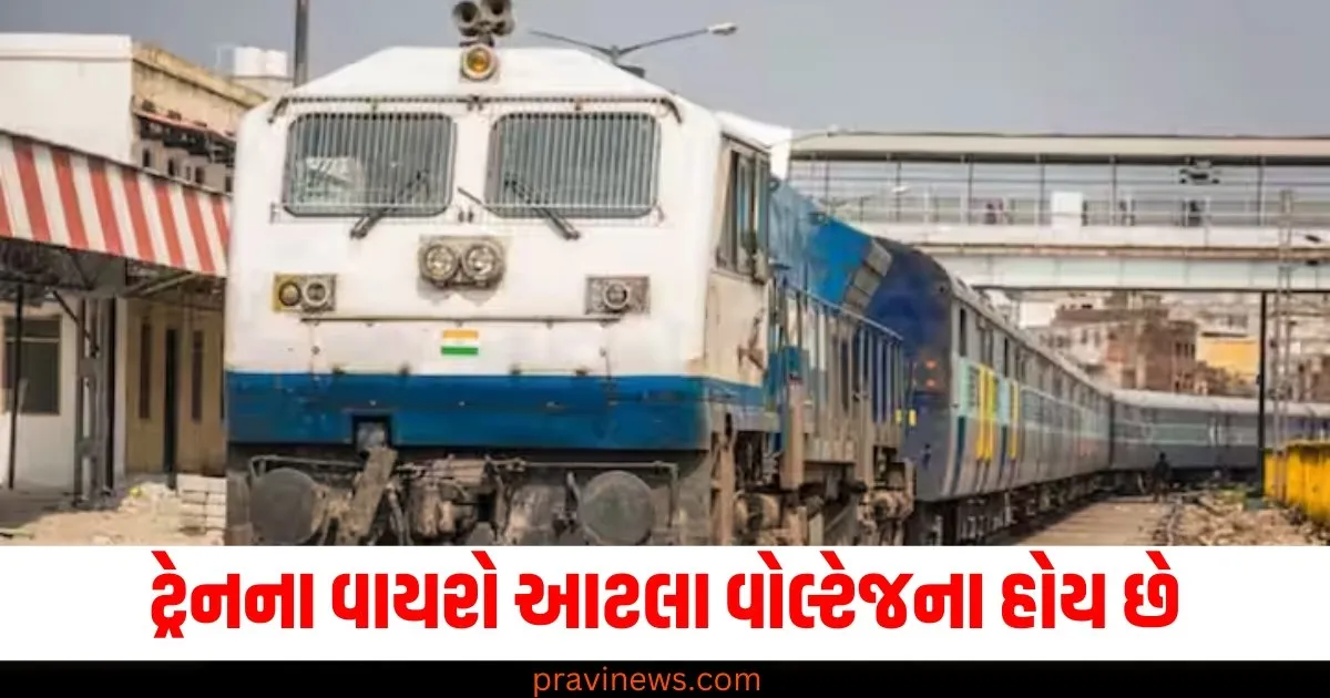 ટ્રેનના વાયરો આટલા વોલ્ટેજના હોય છે , જાણો તેમાંથી એન્જિનને કેવી રીતે મળે છે વીજળી. https://www.pravinews.com/religion/importance-and-spiritual-belief-of-moles-moles-astrology-80485