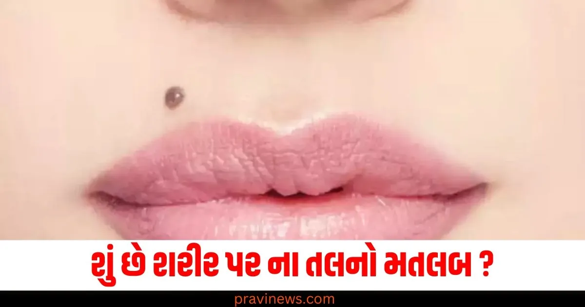 શરીર પર અલગ અલગ જગ્યાએ તલ હોવા શું છે તેનો મતલબ ? જાણો શું કહે છે સમુદ્રશાસ્ત્ર https://www.pravinews.com/flashback-2024/cricket-india-australia-pakistan-south-africa-which-team-won-how-many-tests-in-2024-this-year-yashasvi-jaiswal-pat-cummins-rohit-sharma-80478