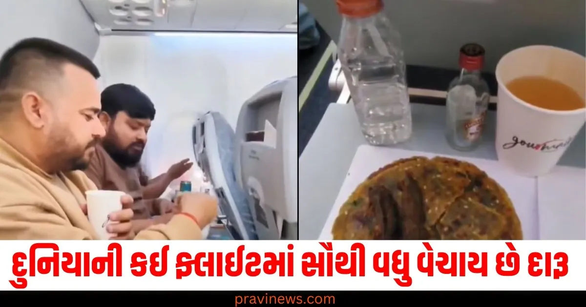 દુનિયાની કઈ ફ્લાઈટમાં સૌથી વધુ વેચાય છે દારૂ , આંકડા જાણીને જ તમને નશો ઉતારી જશે. https://www.pravinews.com/elections/how-many-days-before-the-elections-are-voter-cards-made-know-the-rules-75888