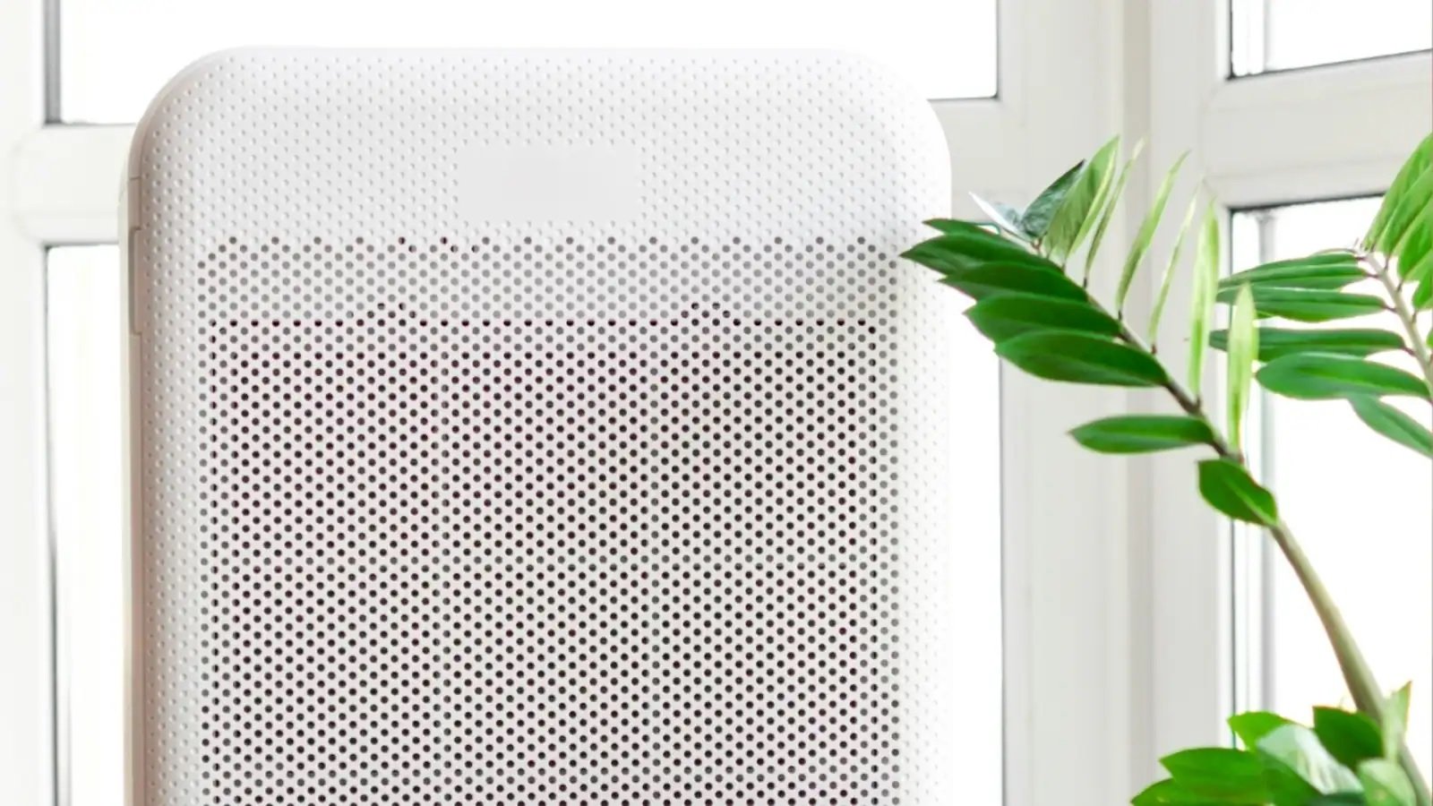 Air Purifier લેતા પહેલા આ 2 બાબતો ચોક્કસથી તપાસો, નહીં તો તમારા પૈસા બરબાદ થઈ જશે https://www.pravinews.com/technology/air-purifier-buying-guide-hepa-filter-clean-air-delivery-rate-cadr-features-check-before-purchasing-63460