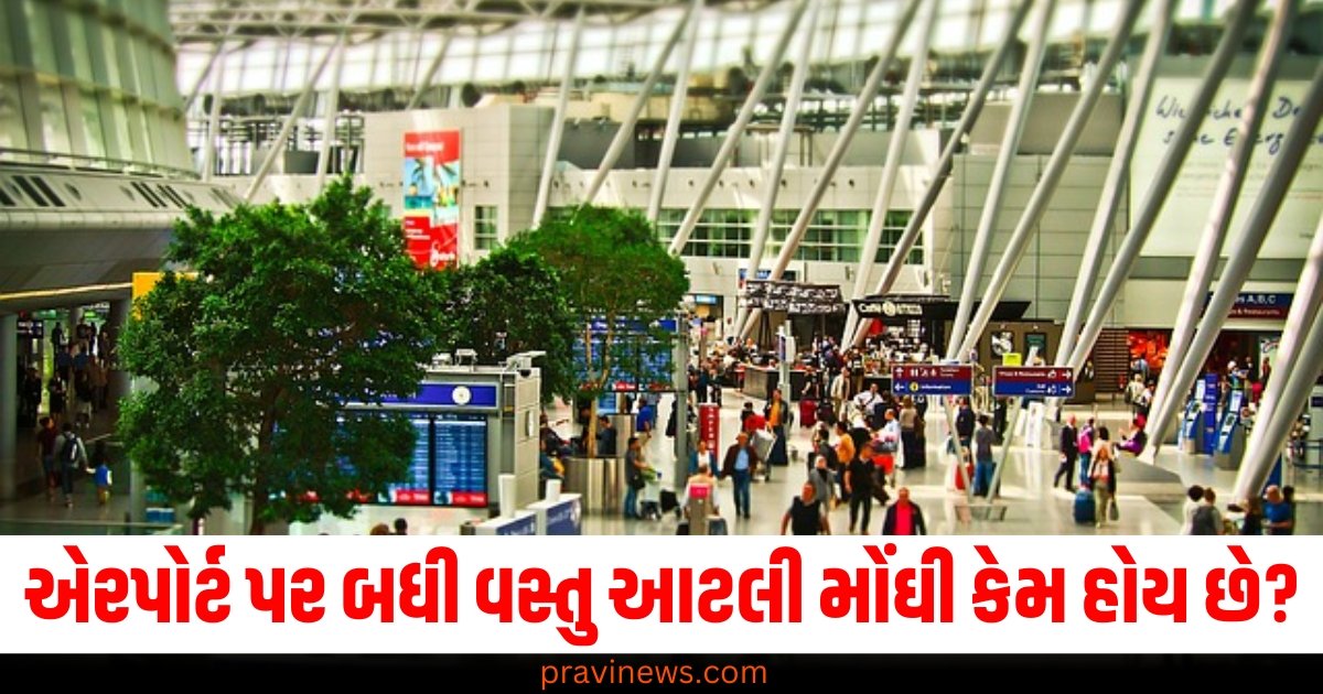 આવું કેમ ભાઈ! બજારમાં મળતી 20 રૂપિયાની પાણીની બોટલના એરપોર્ટ પર 100 રૂપિયા થઇ જાય છે ? https://www.pravinews.com/lifestyle/hot-water-showers-side-effects-hot-water-showers-harm-your-skin-and-hair-follow-these-easy-tips-for-protection-64295