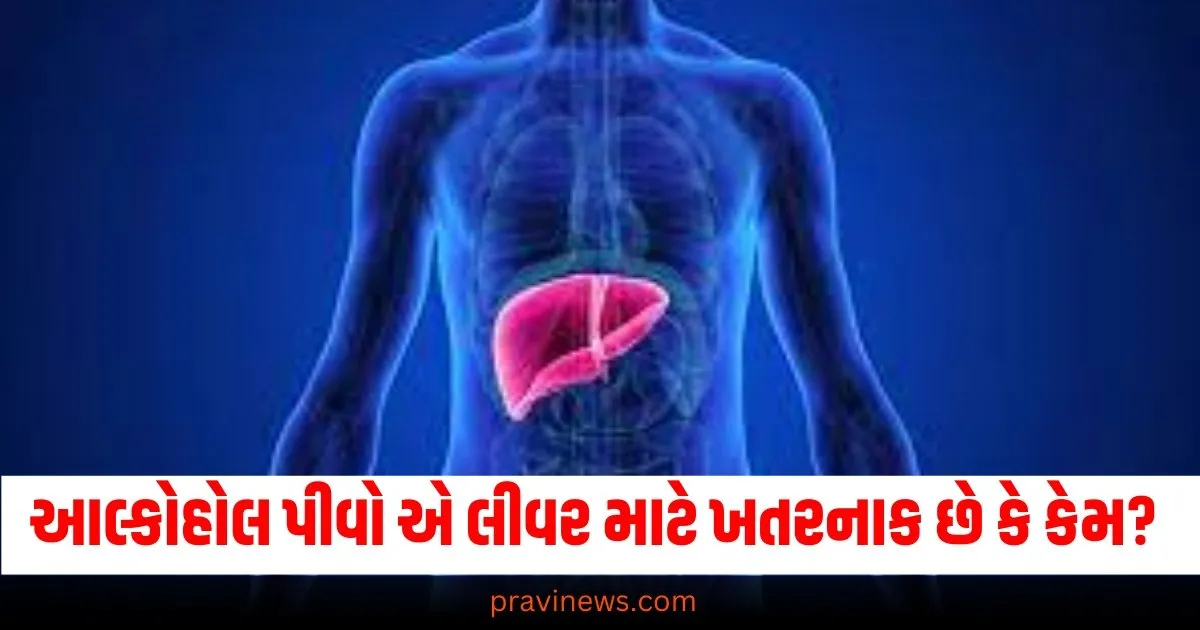 ક્યારેક-ક્યારેક આલ્કોહોલ પીવો એ લીવર માટે ખતરનાક છે કે કેમ, જાણો તે અંગે નિષ્ણાતો શું કહે છે? https://www.pravinews.com/elections/aap-mla-naresh-balyan-mcoca-why-maharashtra-act-in-delhi-68798