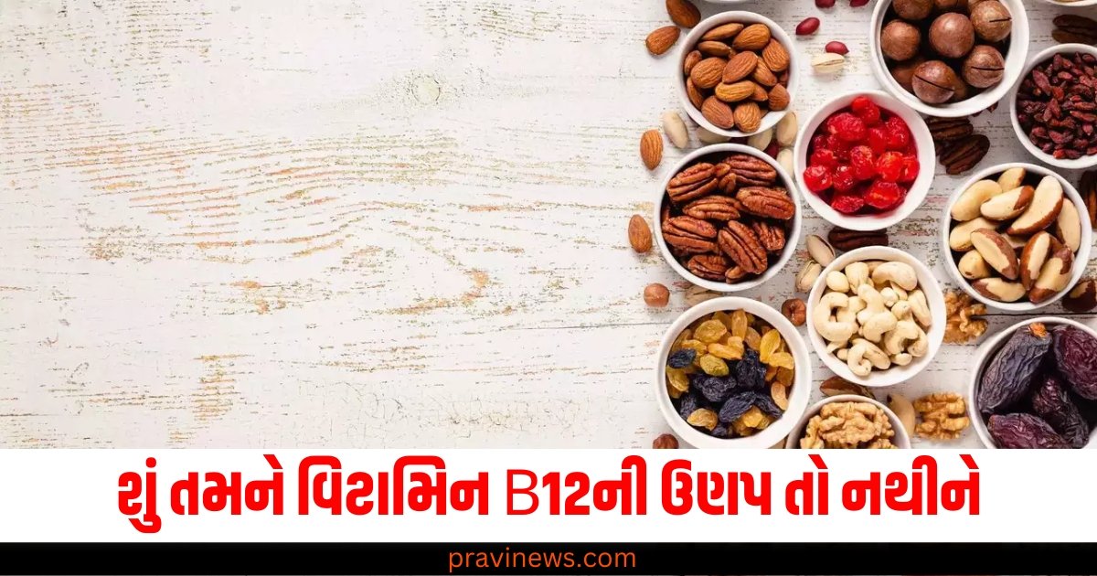 શું તમને વિટામિન B12ની ઉણપ તો નથીને? તો શિયાળાના આહારમાં ફક્ત આ 1 વસ્તુનો સમાવેશ કરો https://www.pravinews.com/world-news-in-gujarati/devendra-fadnavis-new-maharashtra-cm-bjp-parliamentry-boar-approved-name-63418