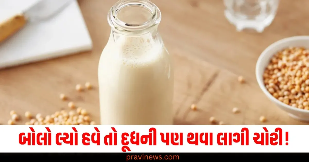 બોલો લ્યો હવે તો દૂધની પણ થવા લાગી ચોરી, બેંગલુરુમાં વધી રહેલી ઘટનાઓથી પોલીસ પણ હેરાન https://www.pravinews.com/trending/viral-news/this-island-nation-ranked-safest-for-travel-in-2025-check-the-list-here-64653