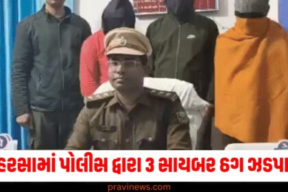 Saharsa (સહરસા), Police (પોલીસ), Cyber Fraudsters (સાયબર ઠગ), Arrested (ઝડપાયા), Gaming App (ગેમિંગ એપ), Targeting People (લોકોને શિકાર બનાવતા), Cyber Crime (સાયબર ક્રાઇમ),