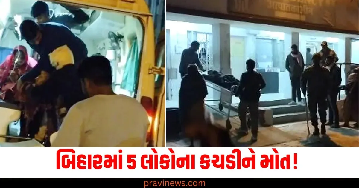 બિહારમાં 5 લોકોના કચડીને મોત! ગ્રામજનોના વિવાદમાં થયા મોત, જાણો શું છે મામલો? https://www.pravinews.com/sports/flashback-sports-2024-rishabh-pant-comeback-story-ipl-75459