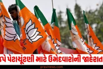 ભાજપે રાજ્યસભા પેટાચૂંટણી માટે ઉમેદવારોની જાહેરાત કરી https://www.pravinews.com/assembly-elections-maharashtra/maharashtra-vidhan-sabha-election-2024-bjp-releases-the-second-list-of-22-candidates-for-the-election-52099