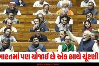 વન નેશન વન ઇલેક્શન સિસ્ટમ પહેલાથી જ આ દેશોમાં લાગુ છે, ભારતમાં પણ યોજાઈ છે એક સાથે ચૂંટણી! https://www.pravinews.com/elections/abdul-rehman-reactions-after-joins-congress-attack-on-aap-bjp-mla-seelampur-delhi-election-2025-ann-68597