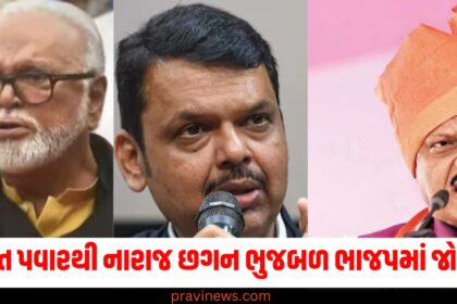 Chhagan Bhujbal (છગન ભુજબળ), Ajit Pawar (અજિત પવાર), BJP (ભાજપ), Joining BJP (ભાજપમાં જોડાવા), Devendra Fadnavis (દેવેન્દ્ર ફડણવીસ),