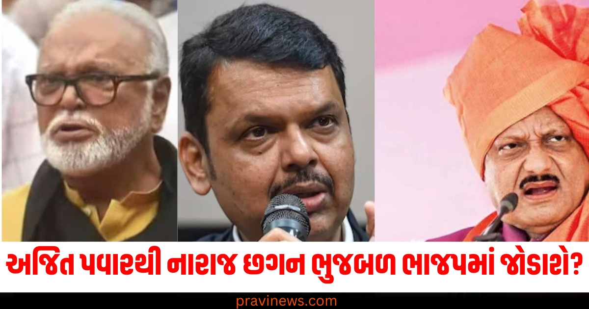 Chhagan Bhujbal (છગન ભુજબળ), Ajit Pawar (અજિત પવાર), BJP (ભાજપ), Joining BJP (ભાજપમાં જોડાવા), Devendra Fadnavis (દેવેન્દ્ર ફડણવીસ),