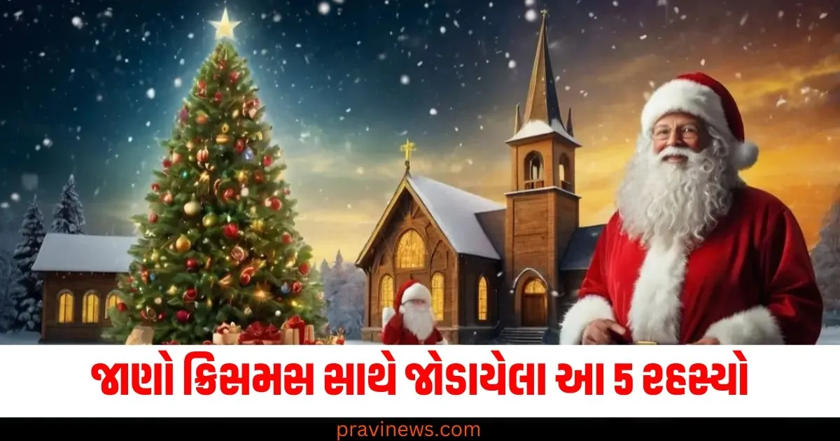 ક્રિસમસ સાથે જોડાયેલા આ 5 રહસ્યો કદાચ તમે નહીં જાણતા હોવ https://www.pravinews.com/top-news/rare-50000-year-old-baby-mammoth-remains-discovered-76378