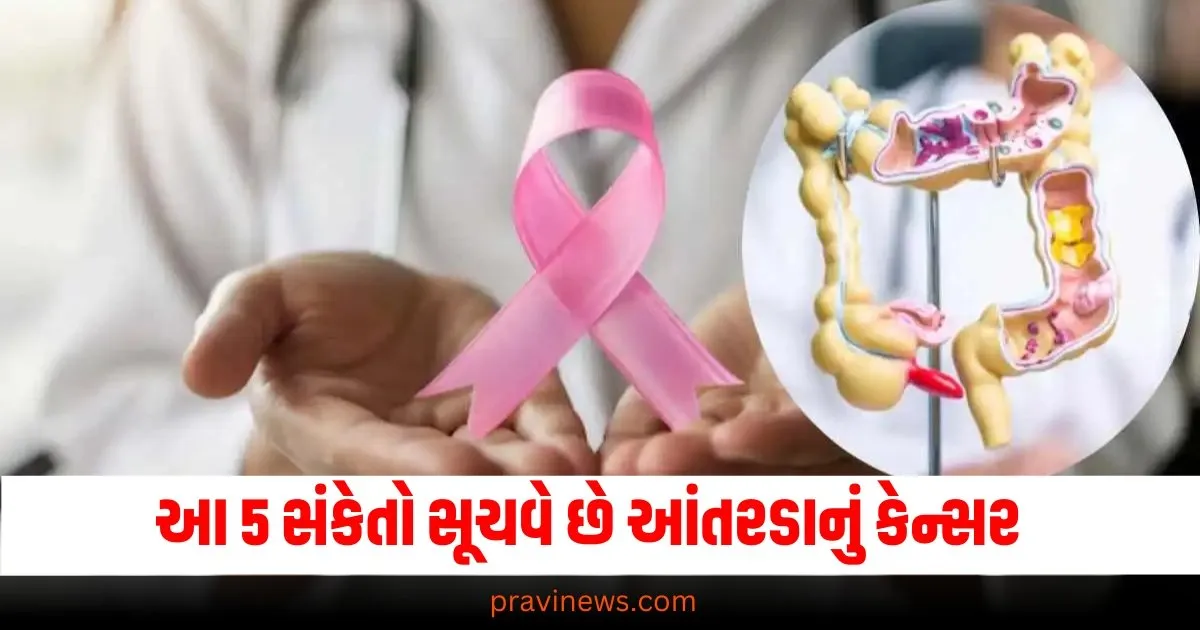 આ 5 સંકેતો સૂચવે છે આંતરડાનું કેન્સર, તેને ક્યારેય અવગણશો નહીં https://www.pravinews.com/world-news-in-gujarati/rajasthan-dausa-5-year-old-boy-aaryan-died-in-150-feet-borewell-after-57-hours-of-rescue-operation-68803