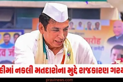 ચૂંટણીના મુખ્ય મુદ્દાઓથી ધ્યાન ભટકાવાયુ , દિલ્હીમાં નકલી મતદારોના મુદ્દે રાજકારણ ગરમાયુ https://www.pravinews.com/tag/%e0%aa%9a%e0%ab%82%e0%aa%82%e0%aa%9f%e0%aa%a3%e0%ab%80