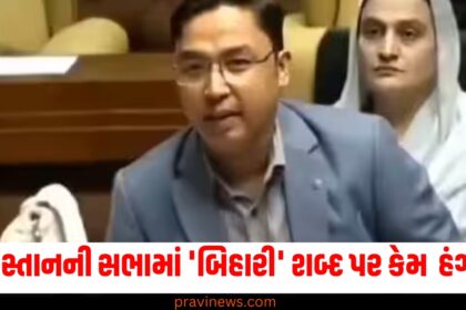 Pakistan, Sindh Assembly, "Bihari" word, controversy, uproar, issue explanation,