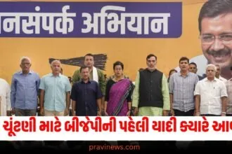 દિલ્હી ચૂંટણી માટે બીજેપીની પહેલી યાદી ક્યારે આવશે? આ ઉમેદવારોને મળી શકે છે તક https://www.pravinews.com/assembly-elections-maharashtra/maharashtra-vidhan-sabha-election-2024-bjp-releases-the-second-list-of-22-candidates-for-the-election-52099