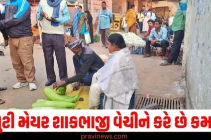 કહેવા માટે તો છે ડેપ્યુટી મેયર! પરંતુ શાકભાજી વેચીને કરે છે કમાણી, જાણો ચિંતા દેવીની કહાની https://www.pravinews.com/tag/%e0%aa%a1%e0%ab%87%e0%aa%aa%e0%ab%8d%e0%aa%af%e0%ab%81%e0%aa%9f%e0%ab%80