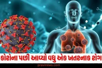 કોરોના પછી આવ્યો વધુ એક ખતરનાક રોગ, આ દેશમાં બીમારીએ મચાવ્યો હોબાળો! https://www.pravinews.com/top-news/rare-50000-year-old-baby-mammoth-remains-discovered-76378