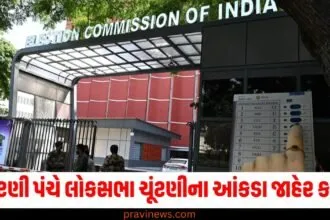 ચૂંટણી પંચે લોકસભા ચૂંટણીના આંકડા જાહેર કર્યા , અન્ય લોકશાહીની સરખામણીમાં અભૂતપૂર્વ કહેવાય https://www.pravinews.com/elections/delhi-assembly-election-2024-bjp-candidate-list-released-soon-68096