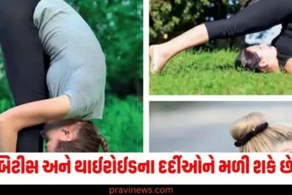 ડાયાબિટીસ અને થાઈરોઈડના દર્દીઓને 2025માં મળી શકે છે રાહત, આ યોગ આસન દરરોજ કરવાની શપથ લો https://www.pravinews.com/tag/%e0%aa%a1%e0%aa%be%e0%aa%af%e0%aa%be%e0%aa%ac%e0%aa%bf%e0%aa%9f%e0%ab%80%e0%aa%b8