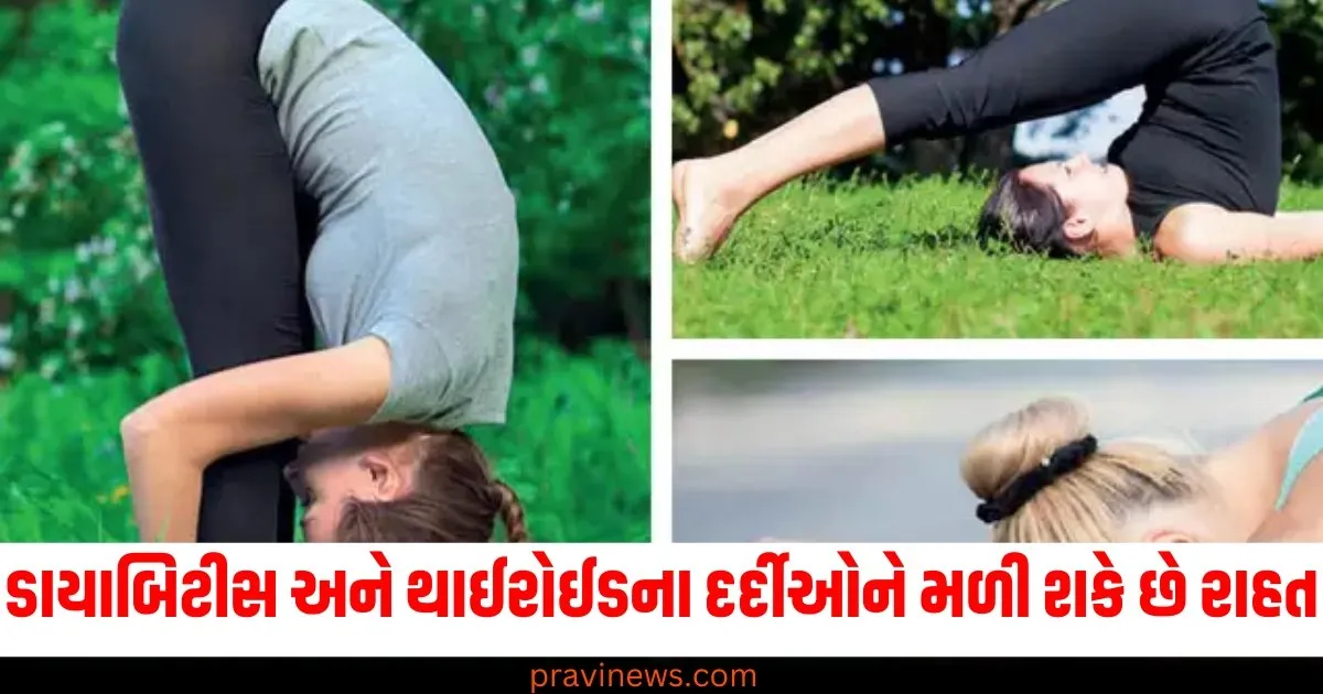 ડાયાબિટીસ અને થાઈરોઈડના દર્દીઓને 2025માં મળી શકે છે રાહત, આ યોગ આસન દરરોજ કરવાની શપથ લો https://www.pravinews.com/photos/new-year-2025-celebration-guidelines-know-rules-and-regulations-for-happy-new-year-party-78154