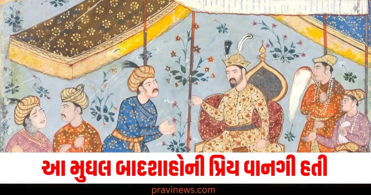 બિરયાની કે કબાબ નહીં, પરંતુ આ મુઘલ બાદશાહોની પ્રિય વાનગી હતી. https://www.pravinews.com/trending/viral-news/page/3