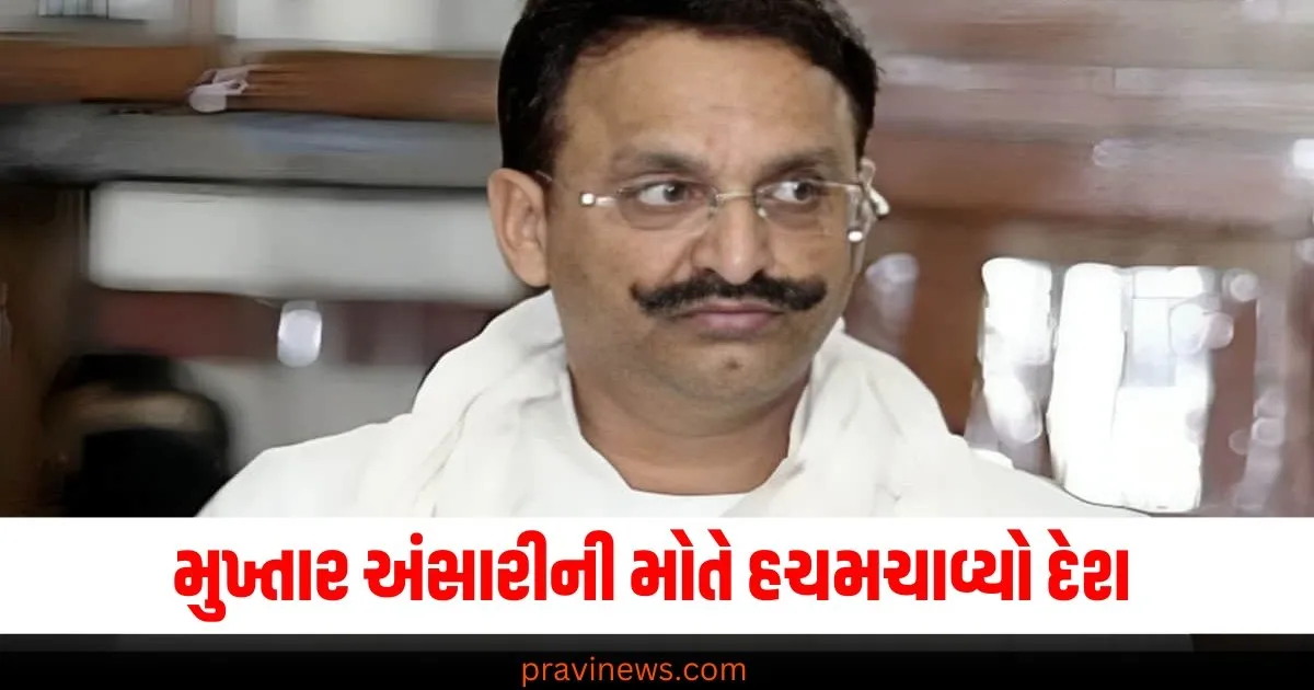 Flash Back 2024 : ગેંગસ્ટર કે પછી ગરીબોનો દેવતા મુખ્તાર અંસારી... જેલમાં મૃત્યુ પછી એવું શું થયું કે દેશમાં હલચલ મચી ગઈ? https://www.pravinews.com/flashback-2024/flashback-2024_trends/flash_back_2024_chandrayaan-3-india-comes-closer-to-the-sun-step-for-gaganyaan-chandrayaan-4-70916