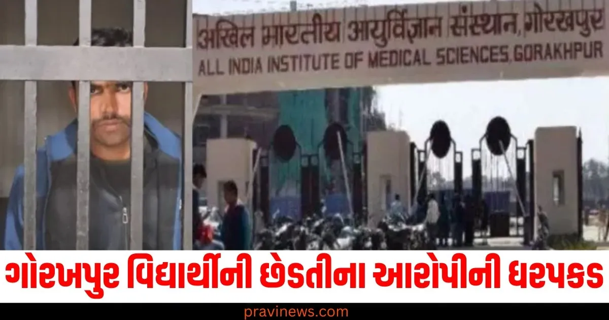 ગોરખપુર AIIMSની વિદ્યાર્થીની છેડતીના આરોપીની ધરપકડ, જેલમાં આખી રાત પૂછપરછ ચાલી. https://www.pravinews.com/world-news-in-gujarati/delhi-assembly-election-2025-sanjay-singh-alleges-name-of-his-wife-is-removed-from-voter-list-by-bjp-40903