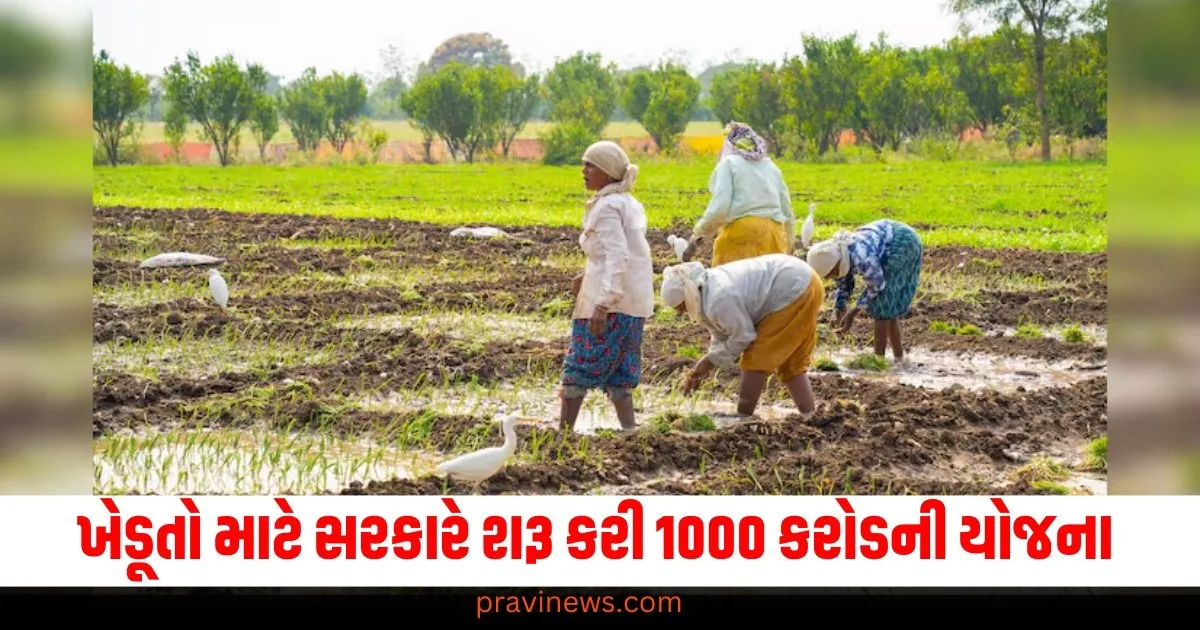 ખેડૂતો માટે સારા સમાચાર! સરકારે 1000 કરોડની યોજના શરૂ કરી. https://www.pravinews.com/sports/sunil-gavaskar-looks-angry-with-mohammad-siraj-behaviour-while-batting-in-ind-vs-aus-3rd-test-72278