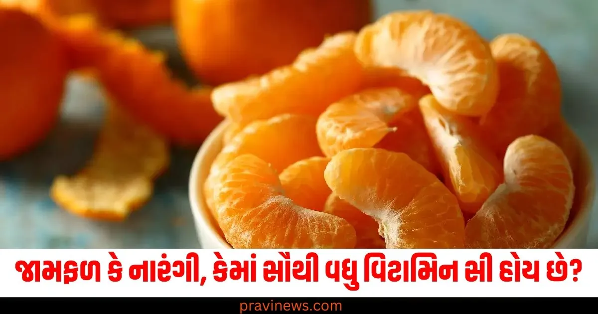 જામફળ કે નારંગી, કેમાં સૌથી વધુ વિટામિન સી હોય છે? https://www.pravinews.com/sports/year-ender-2024-cricketers-who-blessed-with-baby-kane-williamson-rohit-sharma-sarfaraz-khan-travis-head-71814