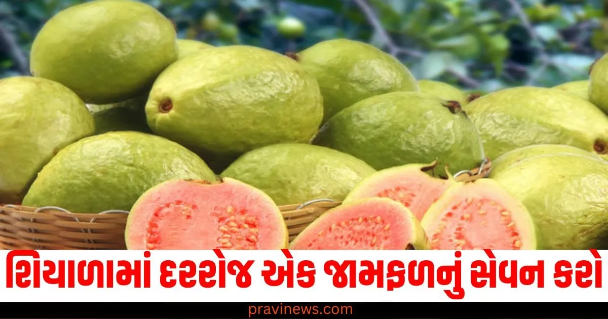 શિયાળામાં દરરોજ એક જામફળનું સેવન કરો, વજનથી લઈને ડાયાબિટીસ સુધી બધું નિયંત્રણમાં રહેશે. https://www.pravinews.com/world-news-in-gujarati/tmc-names-party-leader-ritabrata-banerjee-as-candidate-for-upcoming-rajya-sabha-bypolls-65646