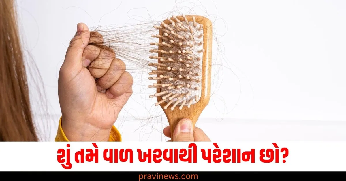 શું તમે વાળ ખરવાથી પરેશાન છો? આ 3 ઘરગથ્થુ ઉપાયો મદદ કરશે https://www.pravinews.com/lifestyle/vitamin-d-deficiency-signs-of-vitamin-d-deficiency-healthy-foods-boost-levels-fish-milk-health-tips-80317