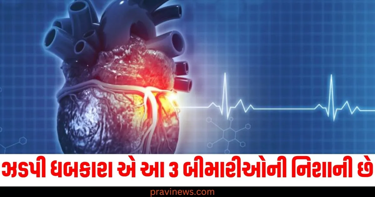 ઝડપી ધબકારા એ આ 3 બીમારીઓની નિશાની છે, શું તમે હ્રદય રોગના શિકાર છો https://www.pravinews.com/business/carraro-india-limited-ipo-and-know-price-band-and-all-the-details-72038