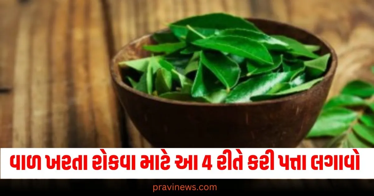 વાળ ખરતા રોકવા માટે આ 4 રીતે કરી પત્તા લગાવો , જળમૂળથી મજબૂત થવા લાગશે તમારા વાળ https://www.pravinews.com/ajab-gajab/what-pakistan-people-search-most-about-india-in-google-2024-know-about-searches-people-and-news-68526