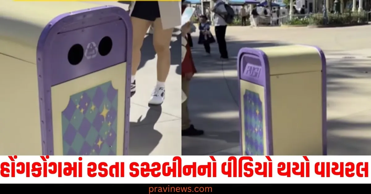 Hong Kong, Viral video, Crying dustbin, "Mare kachro khavo chhe", Emotional video,