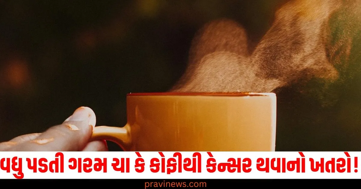 વધુ પડતી ગરમ ચા કે કોફીથી કેન્સર થવાનો ખતરો!, જાણો શરૂઆતના સંકેતો અને નિવારણની પદ્ધતિઓ https://www.pravinews.com/technology/tech-news/youtube-tv-monthly-price-hike-check-the-details-here-69554