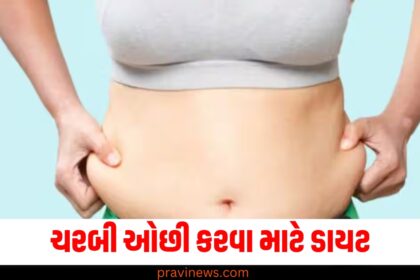 નથી થઇ રહ્યું ઓછું તમારું લટકતું પેટ? આ 5 ડાયેટ હેક્સ કરી દેશે ચરબી ગાયબ https://www.pravinews.com/tag/%e0%aa%aa%e0%ab%87%e0%aa%9f