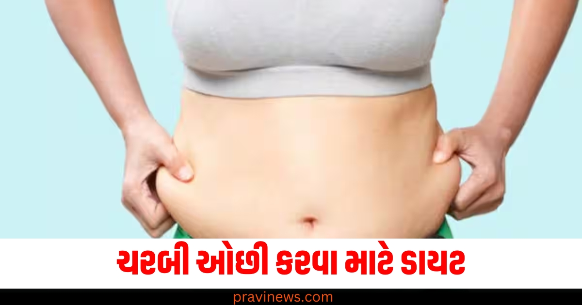 નથી થઇ રહ્યું ઓછું તમારું લટકતું પેટ? આ 5 ડાયેટ હેક્સ કરી દેશે ચરબી ગાયબ https://www.pravinews.com/gujarat-news/gujarat-passengers-will-get-flight-like-facilities-in-new-volvo-bus-journey-will-start-from-rajkot-busport-72730