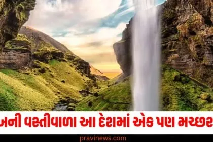 4 લાખની વસ્તીવાળા આ દેશમાં એક પણ મચ્છર નથી, કારણ જાણીને તમે પણ ચોંકી જશો https://www.pravinews.com/photos