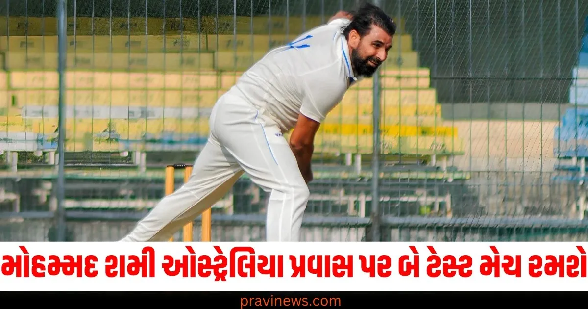 મોહમ્મદ શમી ઓસ્ટ્રેલિયા પ્રવાસ પર છેલ્લી બે ટેસ્ટ મેચ રમશે, સૈયદ મુશ્તાક ટ્રોફી બાદ રવાના થશે https://www.pravinews.com/politics/farmers-stopped-at-shambhu-border-waiting-for-centre-talk-proposals-again-try-to-march-delhi-on-sunday-65790