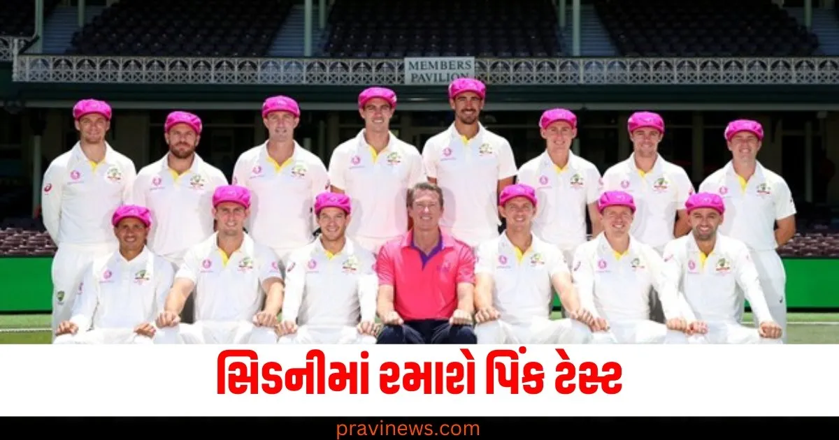 સિડનીમાં રમાશે પિંક ટેસ્ટ, આખરે , શું છે પિન્ક ટેસ્ટ અને તે ક્યારે શરૂ થયું? https://www.pravinews.com/flashback-2024/flashback-2024_sports/year-ender-2024-top-sports-moments-events-80423